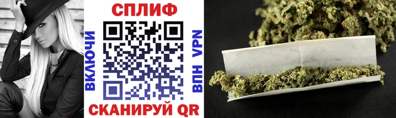 Конопля конопля  ОМГ ОМГ вход  Венёв 
